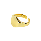 Signet Large 14k Gold Vermeil Adjustable Ring