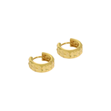 Studded 14k Gold Vermeil Earrings