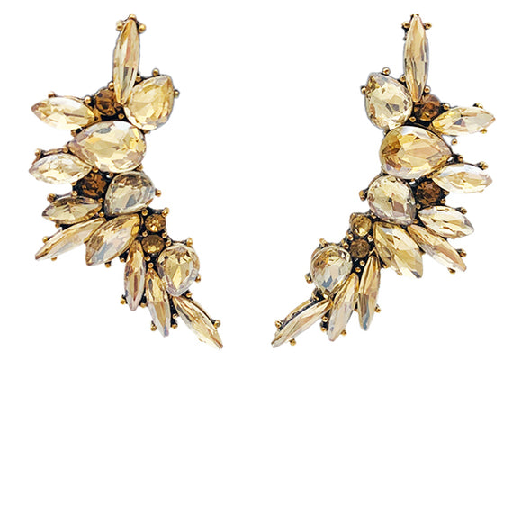 Shattered Flowers Champagne Crystal Earrings
