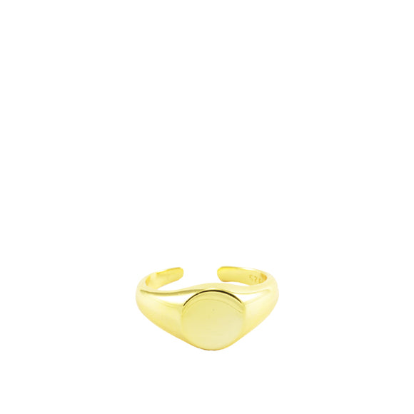 Signet Small 14k Gold Vermeil Adjustable Ring